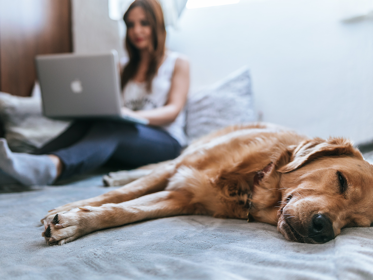 bruno-emmanuelle-azsk_6IMT3I-unsplash